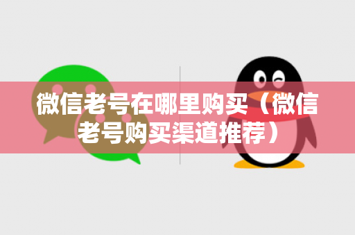 微信老号在哪里购买（微信老号购买渠道推荐）