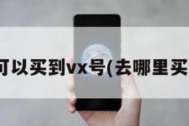 在哪可以买到vx号(去哪里买vx号)